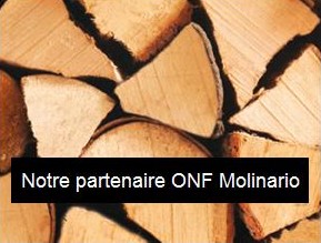 bois-onf